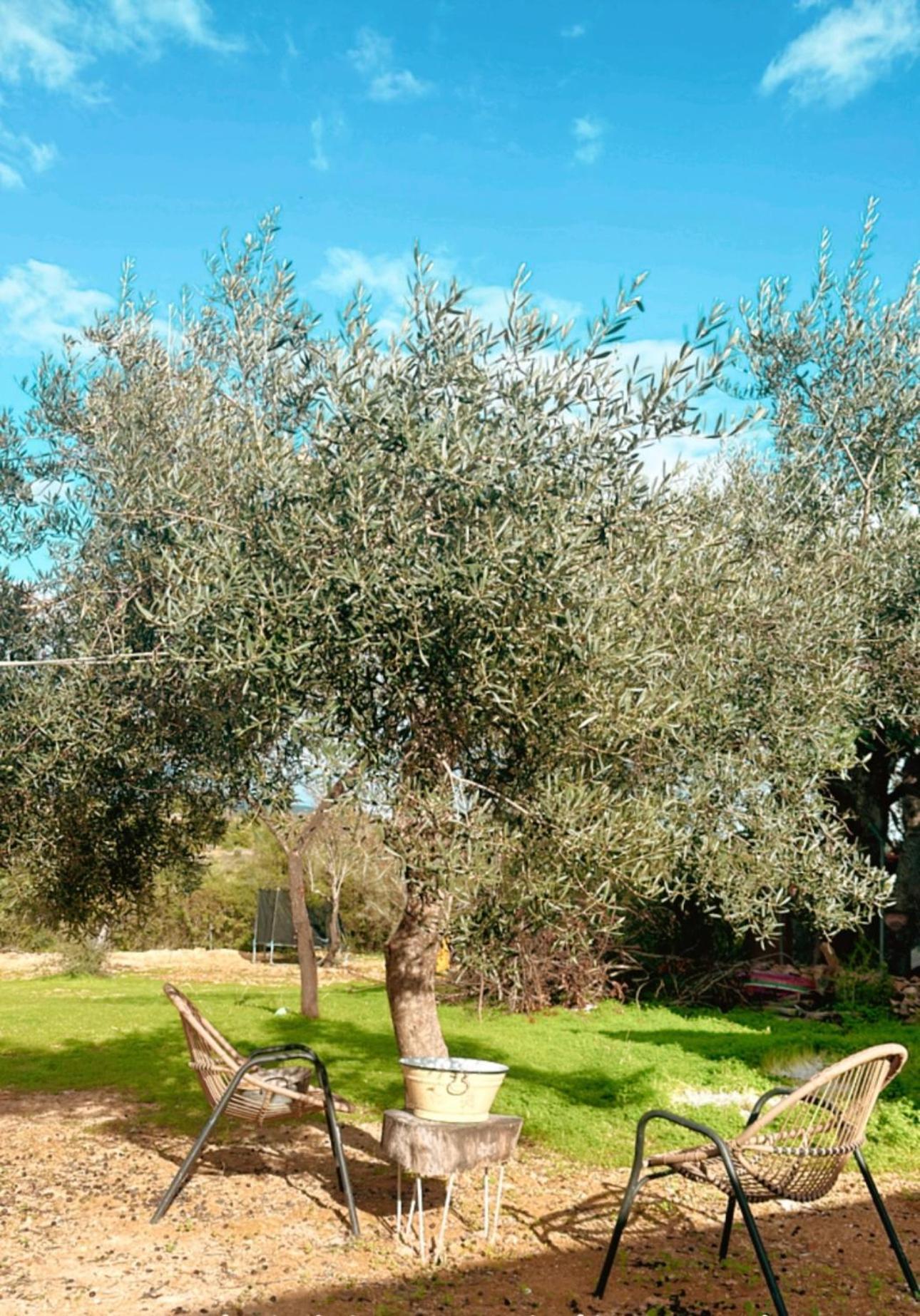 La Quinta Da Liberdade - Ferme De Charme En Algarve Villa Pechao Bagian luar foto