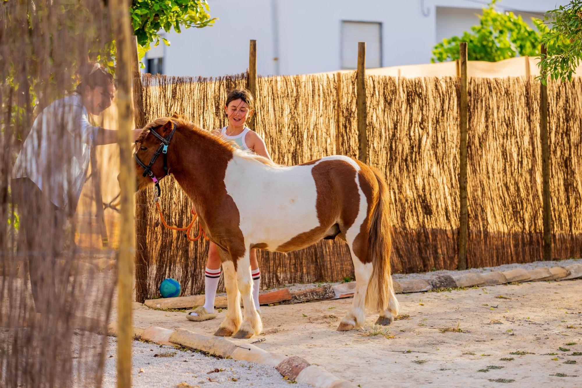La Quinta Da Liberdade - Ferme De Charme En Algarve Villa Pechao Bagian luar foto