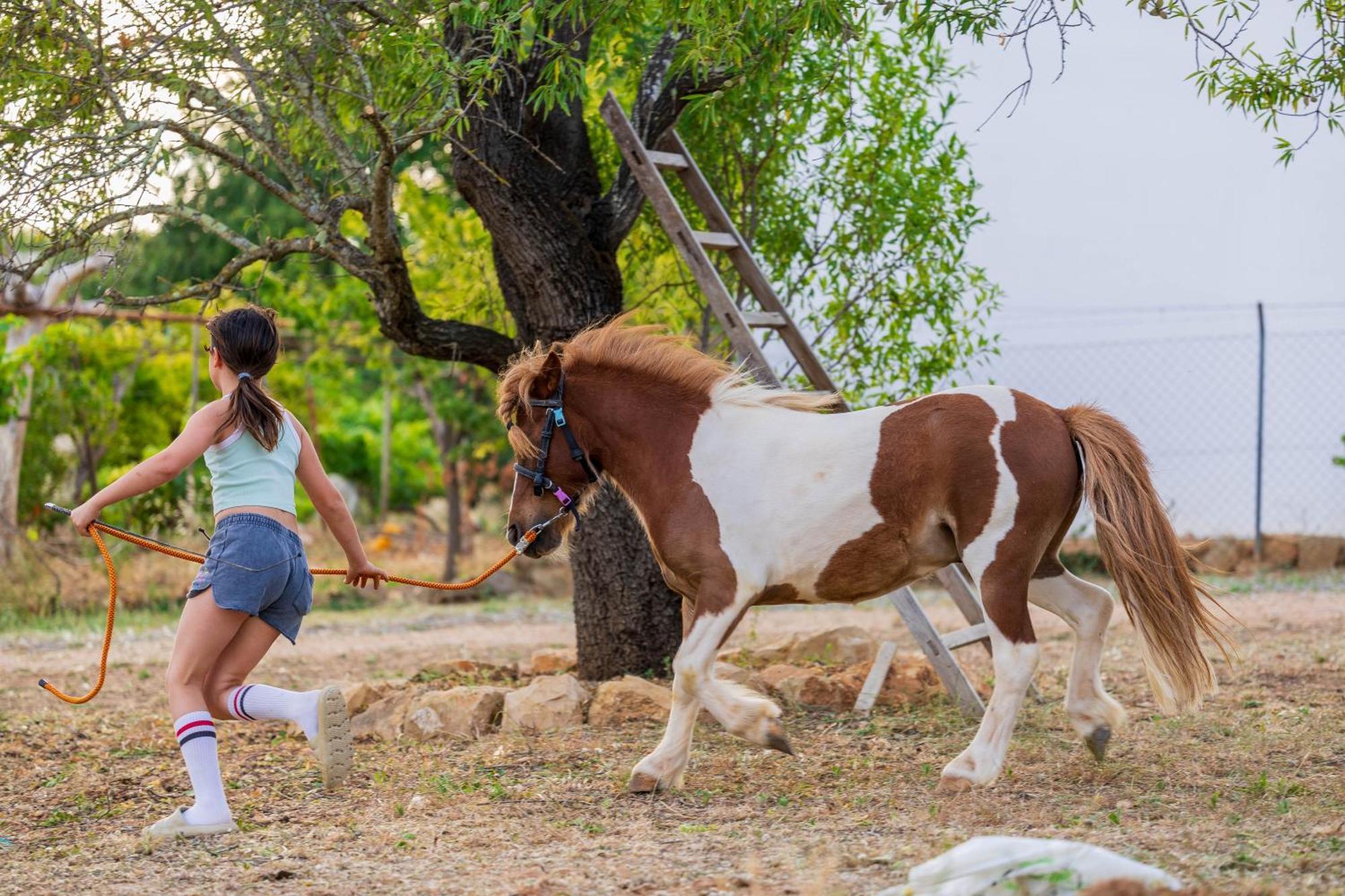La Quinta Da Liberdade - Ferme De Charme En Algarve Villa Pechao Bagian luar foto